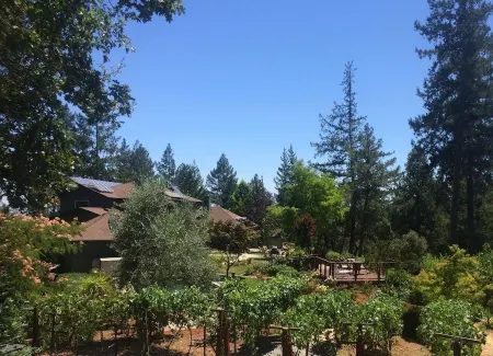 Secluded Luxury Wine Country Home in the hills of west Sonoma County. Sleeps 10.