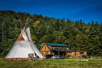 The Cabin that brings people together