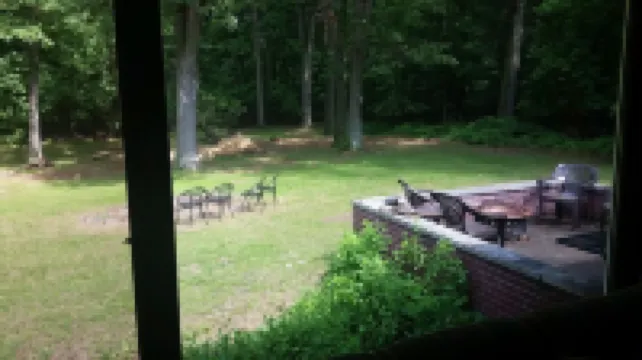 A sanctuary just 15 minutes from Detroit