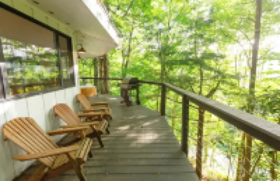 Whimsical Mountain Roundhouse Among the Trees