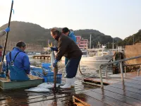Minshuku Oiwa Hotels in Ikata