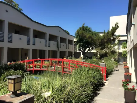 Mikado Hotel Отели рядом с достопримечательностью «Zombie Joe's Underground Theatre Group at ZJU»