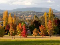 Moore Park Apartments
