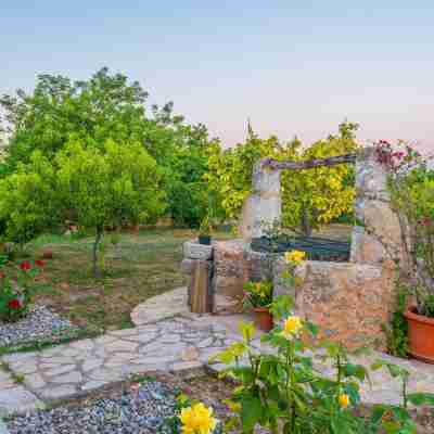 CAN MOSCARI - Villa with private pool in Inca. Free WiFi Hotel Exterior