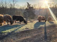 Country's Edge Near The Ark Encounter Hotels in Pendleton County