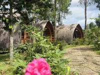 Hizo Garden Resort Отели в г. 