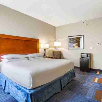 温德姆酒店-新奧爾良法國區 Rooms