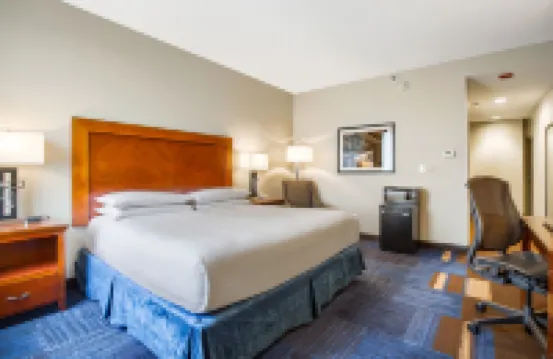 温德姆酒店-新奧爾良法國區 新奧爾良酒店