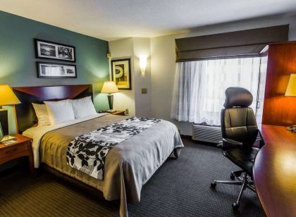 슬립 인 윌밍턴