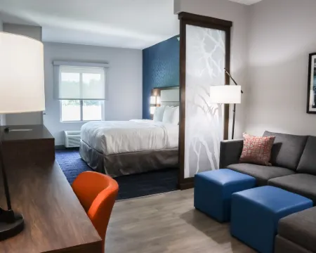 コンフォート スイーツ ゲインズビル ニア ユニバーシティ ゲーンズビルのホテル