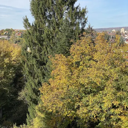 Mirage City Hotel Stuttgart Zentrum