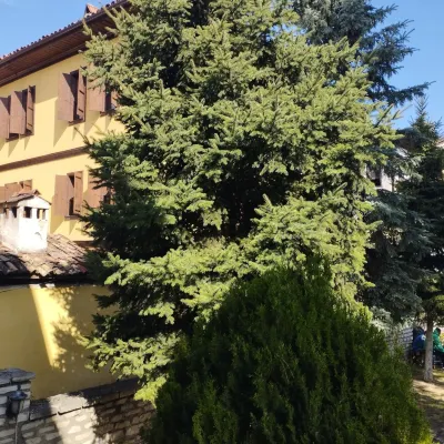 Sari Konak Garden Otel Safranbolu Hotels near Hidirlik Tepesi