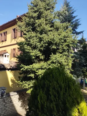 Sari Konak Garden Otel Safranbolu Hôtels à : Izzetpasa Mahallesi