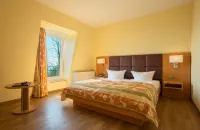 Berghotel Kockelsberg Hotel a Treviri