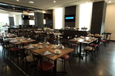 Lithio Hotel Отели в г. Веракруз