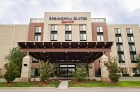 SpringHill Suites Louisville Airport Hotels in Louisville