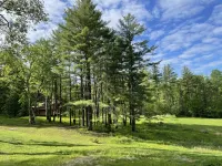Bright Modern Secluded Vermont Home: Fish Pond + Trails, 5 Mins to Williamstown