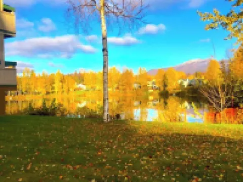 Lakeside Escape in the Heart of Anchorage - 2BR/2BA Condo -Views, Garage, Patio