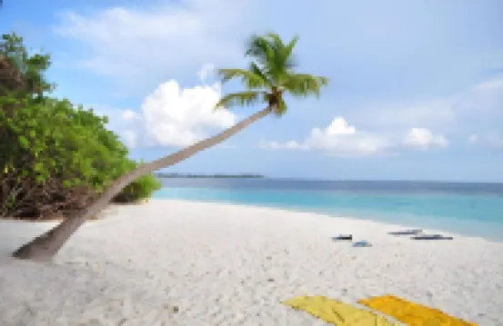 Summer Villa Guest House