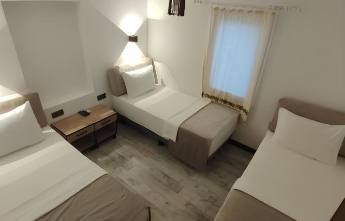 The Professor's Hotel