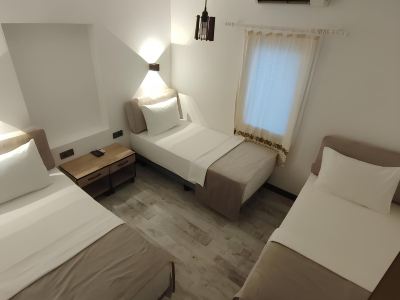 The Professor's Hotel