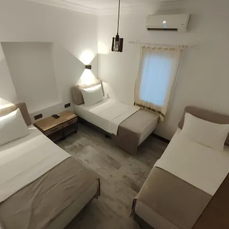 The Professor's Hotel