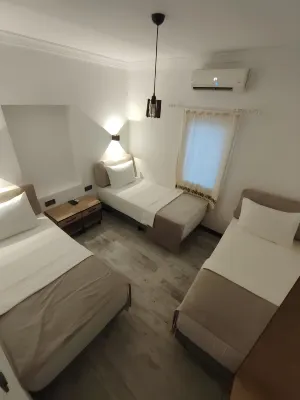 The Professor's Hotel