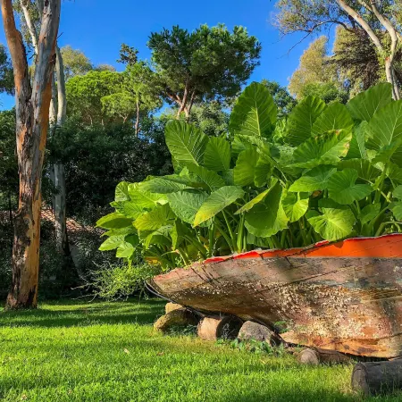 Arbatax Park Resort - Telis