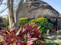 Charming 6-Bed House with Swimming Pool in Harare - Pet friendly