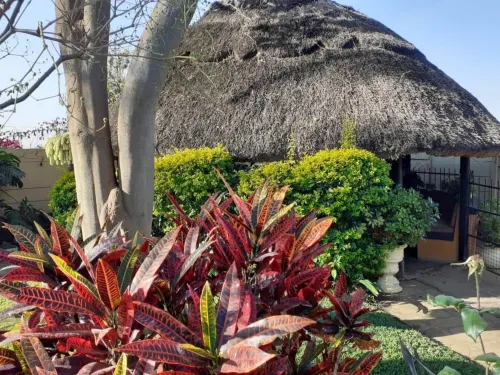 Charming 6-Bed House with Swimming Pool in Harare - Haustierfreundliche