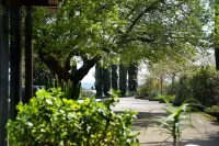 Hotel la Torre Hotels in Cingoli