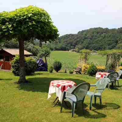 Hostal Rural Irigoienea Hotel Exterior