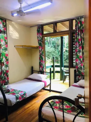 Rainforest Eco Lodge - Quầy Bar