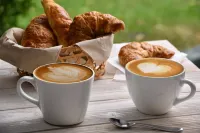 Rose Canine B&B Hotels in Province of Forli-Cesena