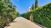 Phaedrus Living Amorosa 13 Beachside Villa