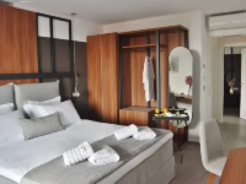 Alexander Inn Hotels in Volvi