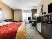 Comfort Inn Hotels in Grey County