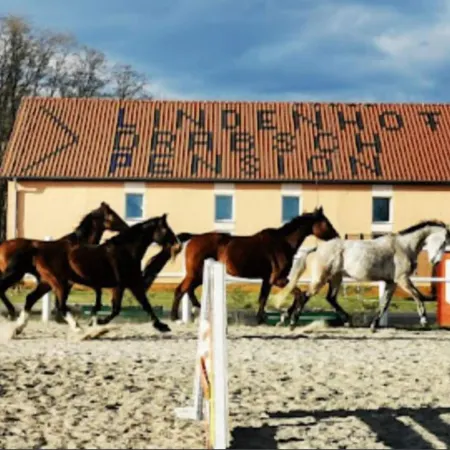 Pension Lindenhof Drabsch Ξενοδοχεία στην πόλη Oder-Spree