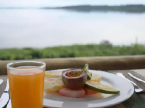 Buvi Lodge Limited Hotels in Busiro