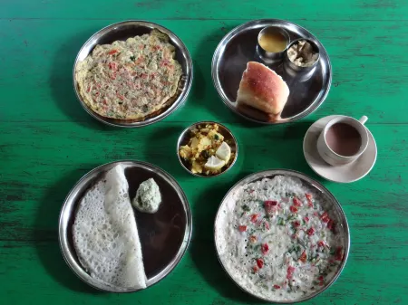 Dudhsagar Plantation Отели в г. Sancordem VP