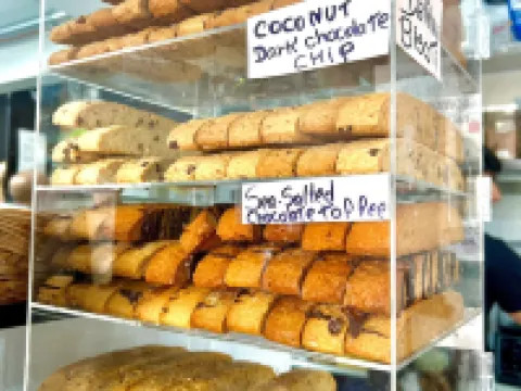 Beach House Dewey Hotels in Dewey Beach