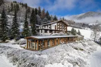 Hotel OTP Birkenhof Hotels in Dobriach