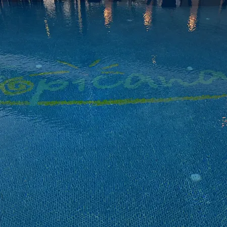 Tropicana Beach
