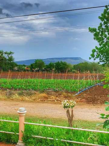 รูปภาพของมรกตรีสอร์ท-บริการที่พัก-เขื่อนป่าสักชลสิทธิ์ อ.พัฒนานิคม จ.ลพบุรี