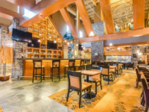 ソーリッジ イン & カンファレンス センター エドモントン サウス エドモントンのホテル