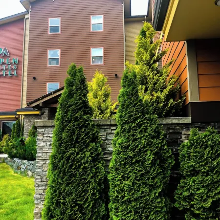 Aspen Suites Hotel Sitka