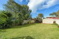 언쇼의 씨 레니티