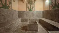 RS Hotel Karam Palace - Spa