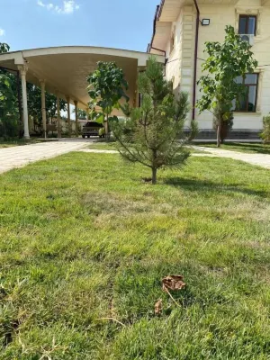 Green Apple Hotel Hotels in Kibray District