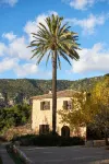 Mirabó de Valldemossa - bar